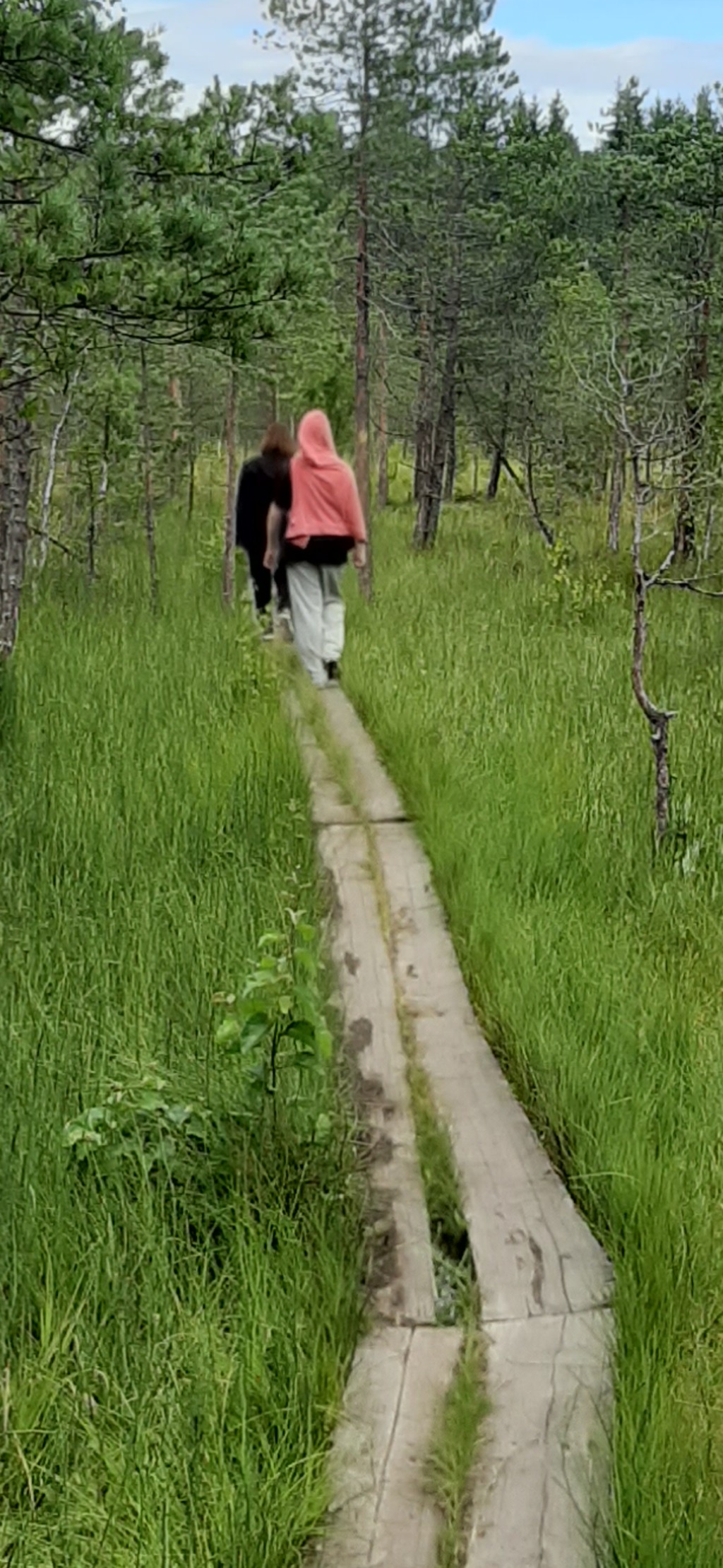 Kuva tehty tekoälyllä